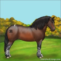 Horse Color:Bay Tobiano 