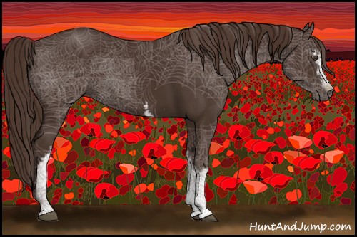 Horse Color:White Spotted Liver Chestnut 