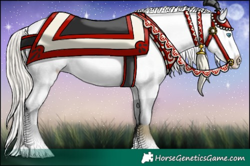 Horse Color:Chocolate Palomino Pearl Appaloosa 