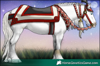 Horse Color:Chocolate Palomino Pearl Appaloosa 