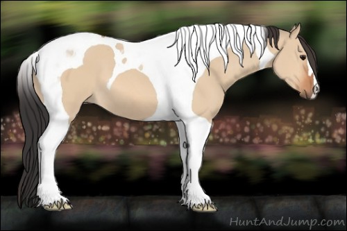 Horse Color:Bay Dun Tobiano