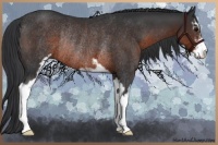 Horse Color:Brown Sabino Rabicano