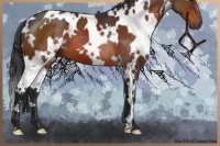 Horse Color:White Spotted Brown 