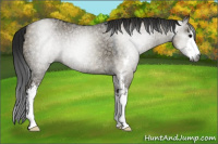 Horse Color:Gray Smoky Grullo Ice Sabino 