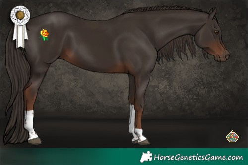 Horse Color:Liver Chestnut Tobiano 