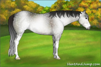 Horse Color:Gray Brown Dun Sabino Brindle