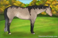 Horse Color:Brown Dun