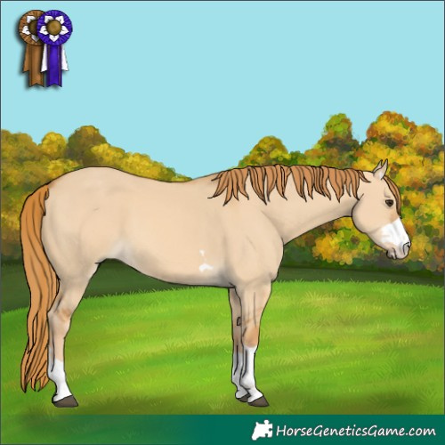 Horse Color:Red Dun 