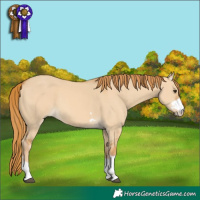 Horse Color:Red Dun 