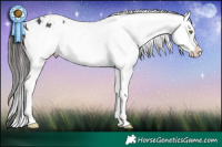 Horse Color:White Spotted Brown Frame Appaloosa