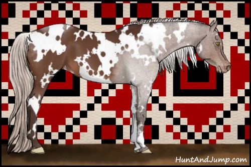 Horse Color:White Spotted Silver Brown Appaloosa