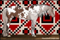 Horse Color:White Spotted Silver Brown Appaloosa 