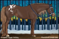 Horse Color:Liver Chestnut Appaloosa 