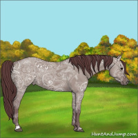 Horse Color:Chocolate Grullo Ice 