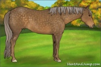 Horse Color:Chocolate Palomino