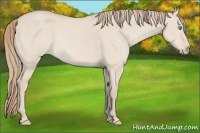Horse Color:Smoky Creme Dun