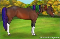 Horse Color:Painted Bay 