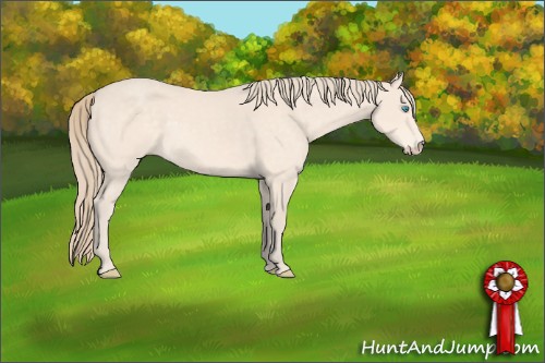 Horse Color:Perlino