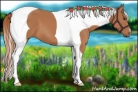 Horse Color:Chestnut Tobiano