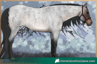 Horse Color:Brown Roan