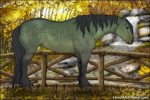 Horse Color:Brown Dun