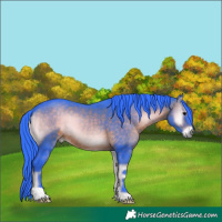 Horse Color:Watercolor Brown Onyx 