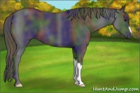 Horse Color:Nacre Black 