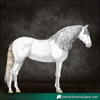 Horse Color:Buckskin Pearl Dun Varnish