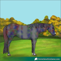 Horse Color:Nacre Black 