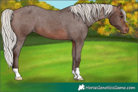 Horse Color:Silver Brown Varnish 