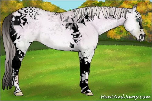 Horse Color:Void Watercolor Palomino Pearl Onyx Sabino Tobiano 
