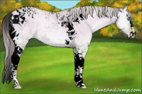 Horse Color:Void Watercolor Palomino Pearl Onyx Sabino Tobiano 
