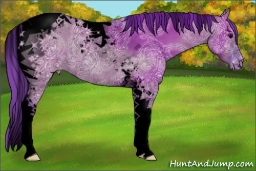 Horse Color:Void Watercolor Grullo Ice Sabino Tobiano Appaloosa Rabicano 