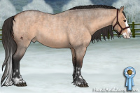 Horse Color:Bay Roan Dun Splash  and Bay Roan Dun Splash 