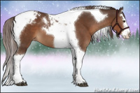 Horse Color:Liver Chestnut Splash Tobiano Appaloosa 