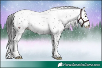 Horse Color:White Spotted Brown Mushroom Rabicano 