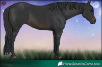 Horse Color:Brown 