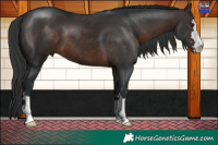 Horse Color:Brown Mushroom