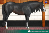 Horse Color:Brown Mushroom 