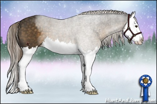 Horse Color:Chocolate Palomino Splash 