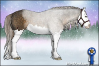 Horse Color:Chocolate Palomino Splash 