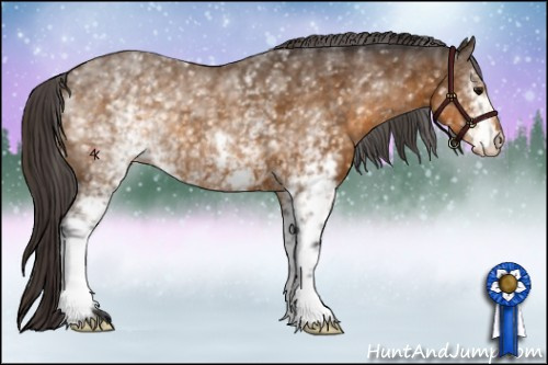 Horse Color:White Spotted Buckskin Appaloosa 