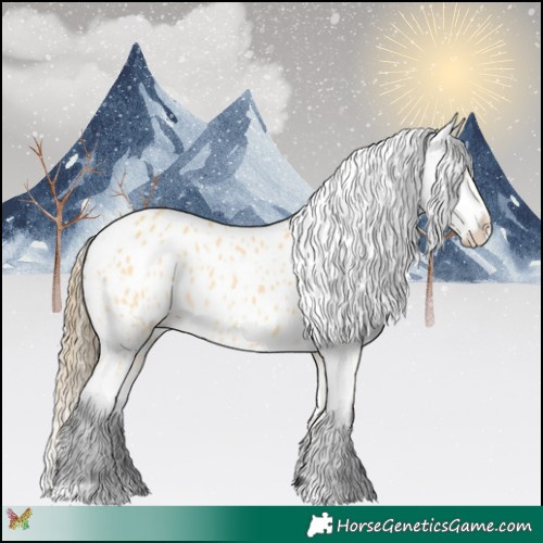 Horse Color:Buckskin Appaloosa 