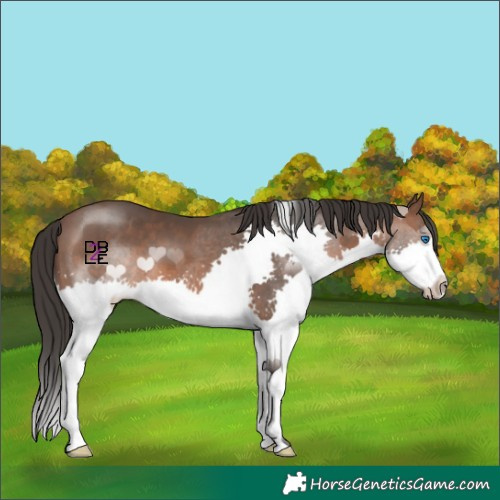 Horse Color:Brown Splash