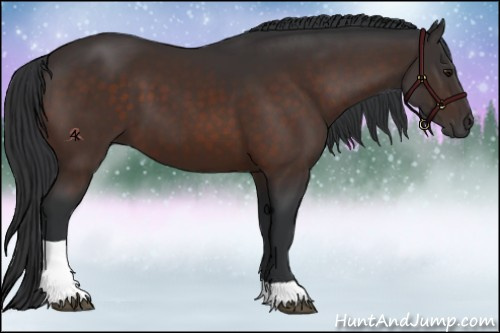 Horse Color:Brown Sabino Tobiano 