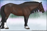 Horse Color:Brown Sabino Tobiano 