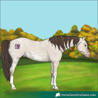 Horse Color:Classic Champagne Ice Dun 