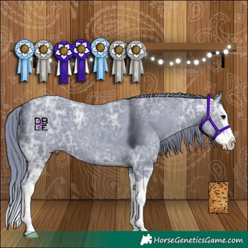 Horse Color:Watercolor Black Ice Splash 