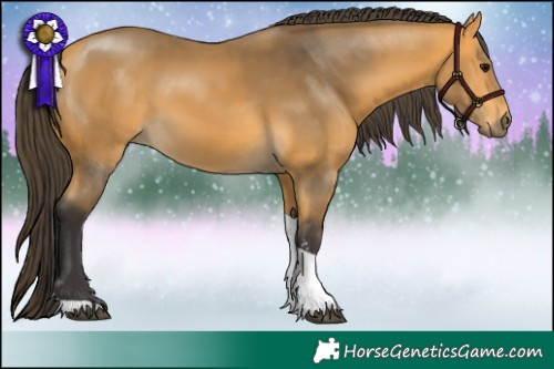 Horse Color:Buckskin Sabino Tobiano
