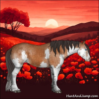 Horse Color:Buckskin Sabino Splash Rabicano 